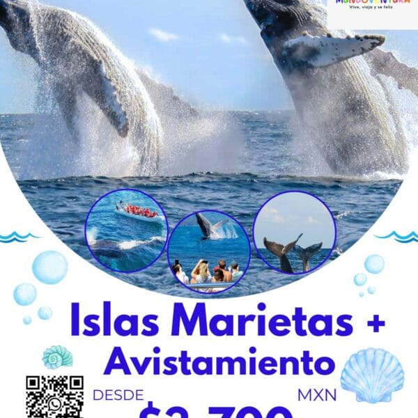 🐋🌴 𝗜𝗦𝗟𝗔𝗦 𝗠𝗔𝗥𝗜𝗘𝗧𝗔𝗦 + 𝗔𝗩𝗜𝗦𝗧𝗔𝗠𝗜𝗘𝗡𝗧𝗢 𝗗𝗘 𝗕𝗔𝗟𝗟𝗘𝗡𝗔𝗦 𝟮𝟬𝟮𝟲 🇲🇽 ⭐⭐⭐⭐⭐⭐