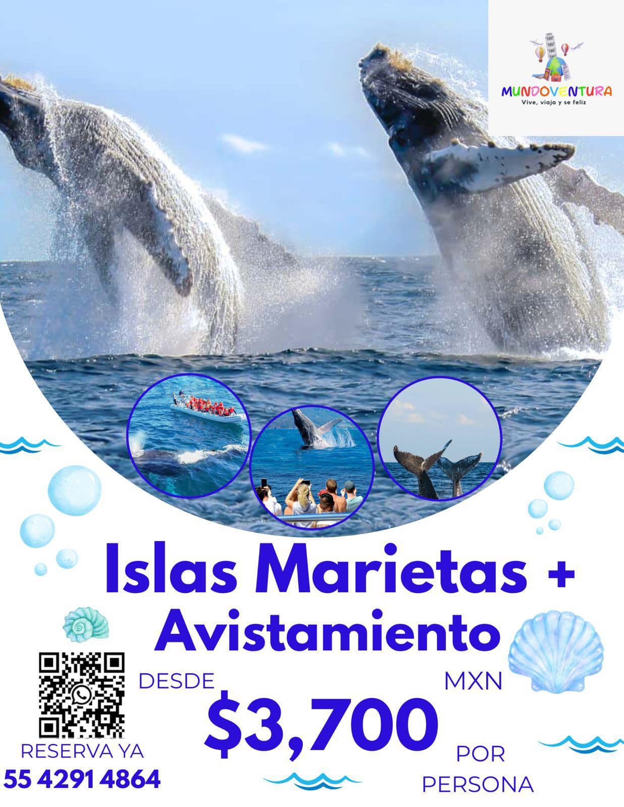 🐋🌴 𝗜𝗦𝗟𝗔𝗦 𝗠𝗔𝗥𝗜𝗘𝗧𝗔𝗦 + 𝗔𝗩𝗜𝗦𝗧𝗔𝗠𝗜𝗘𝗡𝗧𝗢 𝗗𝗘 𝗕𝗔𝗟𝗟𝗘𝗡𝗔𝗦 𝟮𝟬𝟮𝟲 🇲🇽 ⭐⭐⭐⭐⭐⭐