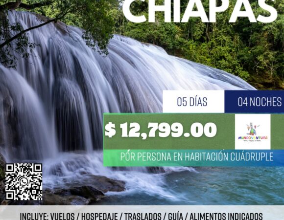 🌿 MEGA CHIAPAS 2026 ✈️