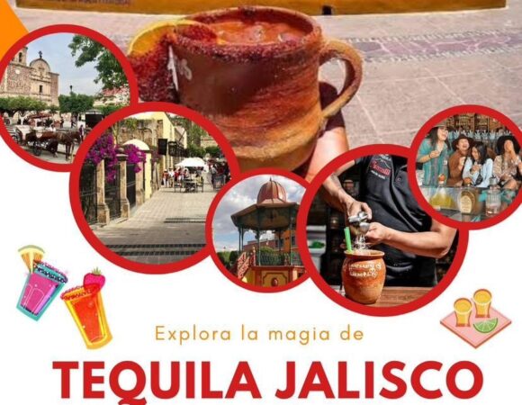 🇲🇽🥃 Tour Tequila Jalisco 2026 🇲🇽